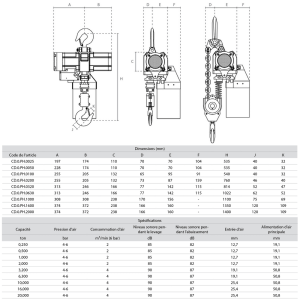 Palan pneumatique à chaîne – ATEX Zone 2 – Image 2