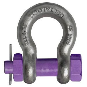 Manille lyre boulonnée goupillée - G80
