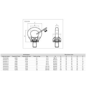 Anneau de levage orientable mâle - G80 – Image 2