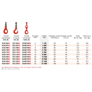 Élingue chaîne 1 brin - Économique - G80 – Image 2